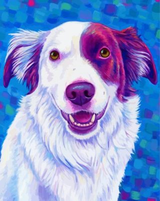 Red And White Border Collie Dog Art Paint By Numbers