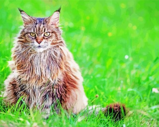 Siberian Cat On Grass Paint By Numbers