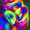 Splash Colorful Shih Tzu Paint By Numbers