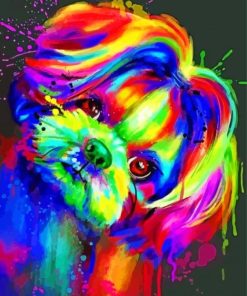 Splash Colorful Shih Tzu Paint By Numbers