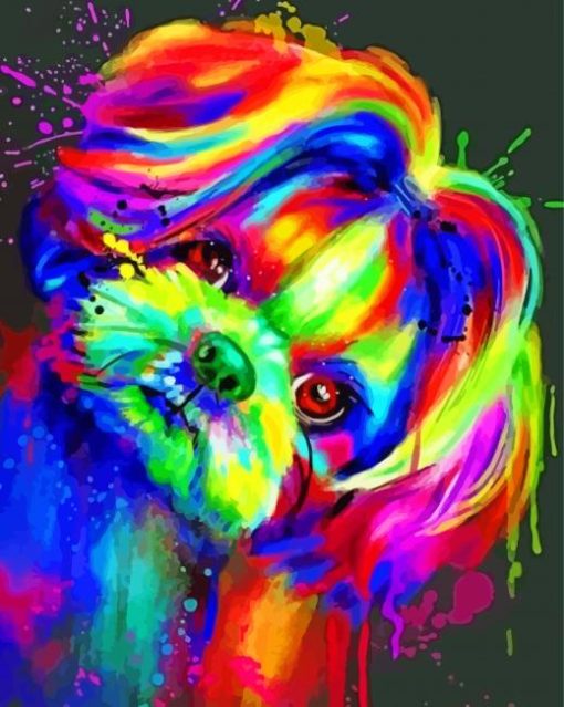 Splash Colorful Shih Tzu Paint By Numbers