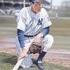 The Baseball Player Joe DiMaggio Paint By Numbers