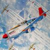 Tuskegee Airmen Planes Art Paint By Numbers