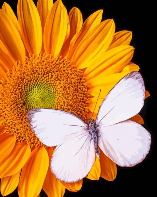 White Butterfly On Sunflower Paint By Numbers