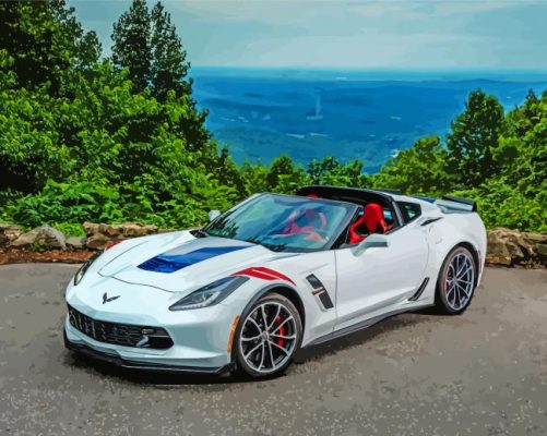 White Corvette In Mountain Paint By Numbers