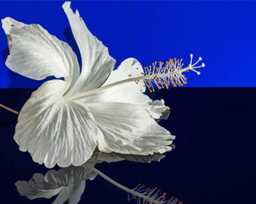 White Hibiscus Reflection Paint By Numbers