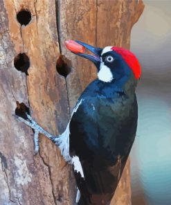 Acorn Woodpecker Paint By Numbers