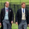 Aesthetic Prince William And Harry Paint By Numbers