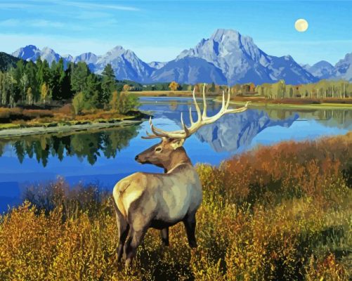 Aesthetic Deer By The River Paint By Numbers