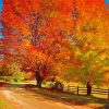 Autumn New England Paint By Numbers