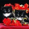 Black Cats With Red Flowers Paint By Numbers