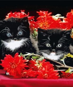 Black Cats With Red Flowers Paint By Numbers