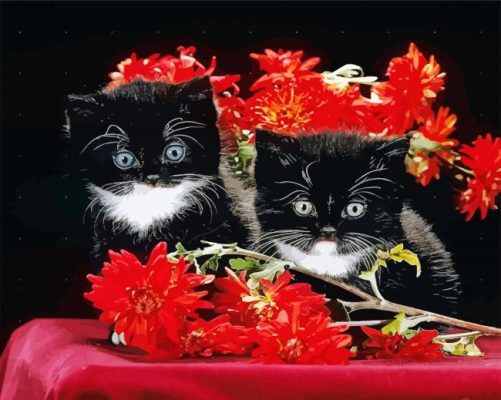 Black Cats With Red Flowers Paint By Numbers