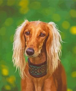 Brown Saluki Paint By Numbers