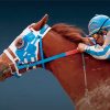 Cool Secretariat Horse Paint By Numbers