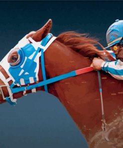 Cool Secretariat Horse Paint By Numbers