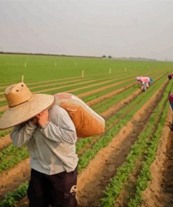 Farming With Workers Paint By Numbers