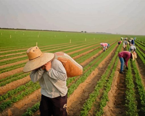 Farming With Workers Paint By Numbers