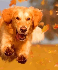 Happy Autumn Golden Retriever Paint By Numbers