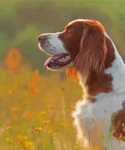 Irish Red White Setter Paint By Numbers