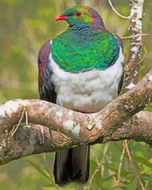 Kereru New Zealand Pigeon Paint By Numbers