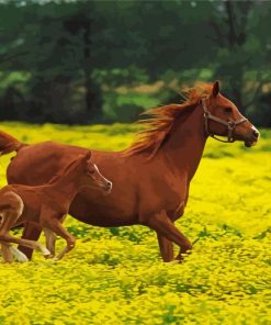 Mom Horse With Child Paint By Numbers