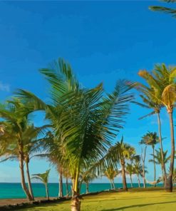 Palm Trees In Varadero Paint By Numbers