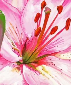 Pink Lily Paint By Numbers