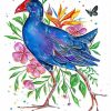 Pukeko Bird Art Paint By Numbers