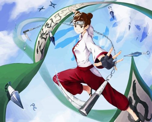 Tenten Anime Character Paint By Numbers