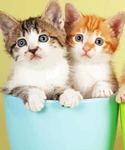 Two Kittens In Cup Paint By Numbers