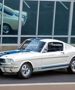 White Shelby Gt 350 Paint By Numbers