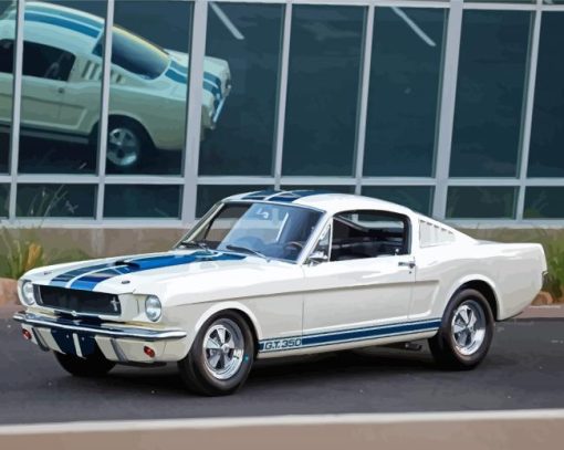 White Shelby Gt 350 Paint By Numbers