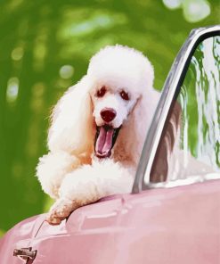 White Poodle In Pink Convertible Car Paint By Numbers