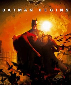 Batman Begins Movie Poster Paint By Numbers