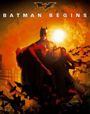 Batman Begins Movie Poster Paint By Numbers