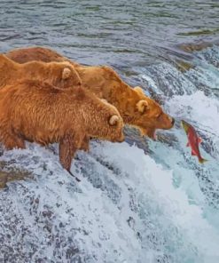 Bears Fishing Paint By Numbers