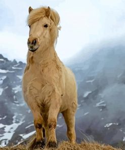 Beige Icelandic Horse Paint By Numbers