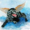 Black Dog Angel Paint By Numbers