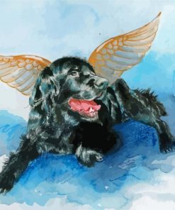 Black Dog Angel Paint By Numbers