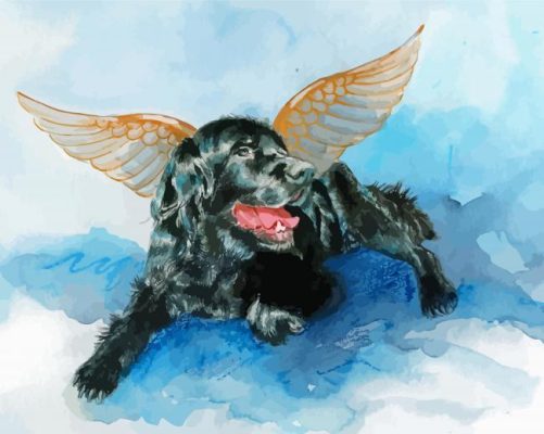 Black Dog Angel Paint By Numbers