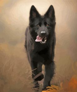 Black German Shepherd Puppy Paint By Numbers