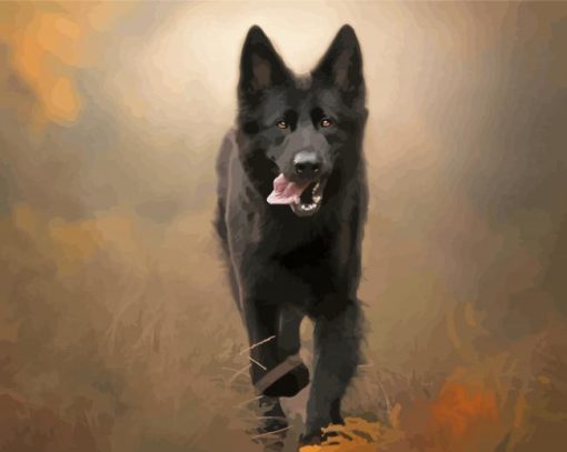 Black German Shepherd Puppy Paint By Numbers