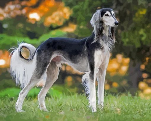 Black And White Saluki Paint By Numbers