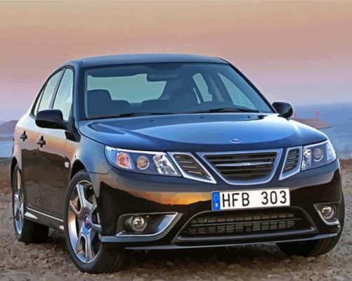 Black Saab Car Paint By Numbers