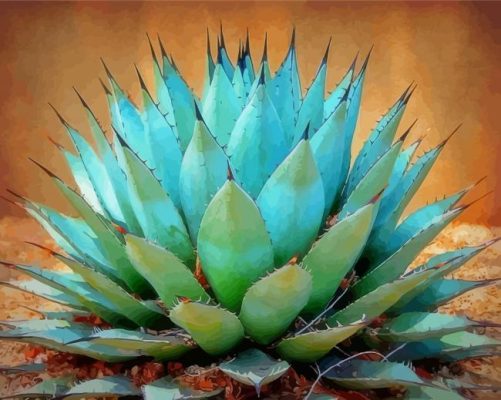 Blue Agave Plant Paint By Numbers