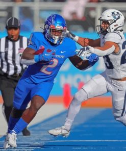 Boise State Broncos VS Utah State Players Paint By Numbers