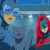 Cat And Catwomen Paint By Numbers