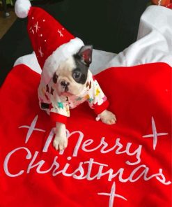 Christmas Boston Terrier Puppy Paint By Numbers