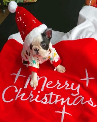 Christmas Boston Terrier Puppy Paint By Numbers